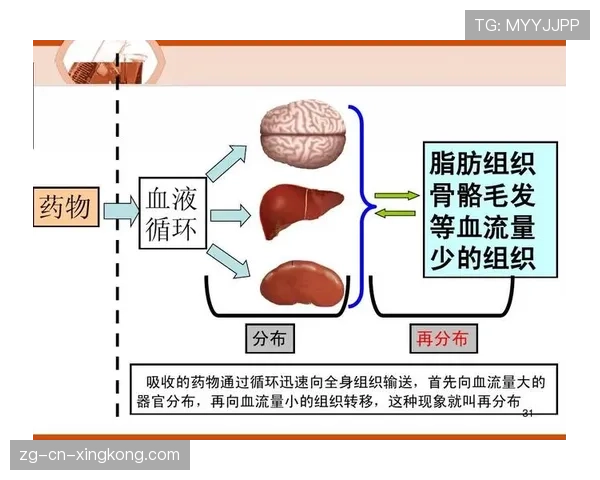 顶级临床药理学家的逻辑：他是如何通过代谢路径研究优化给药方案的（396 ）