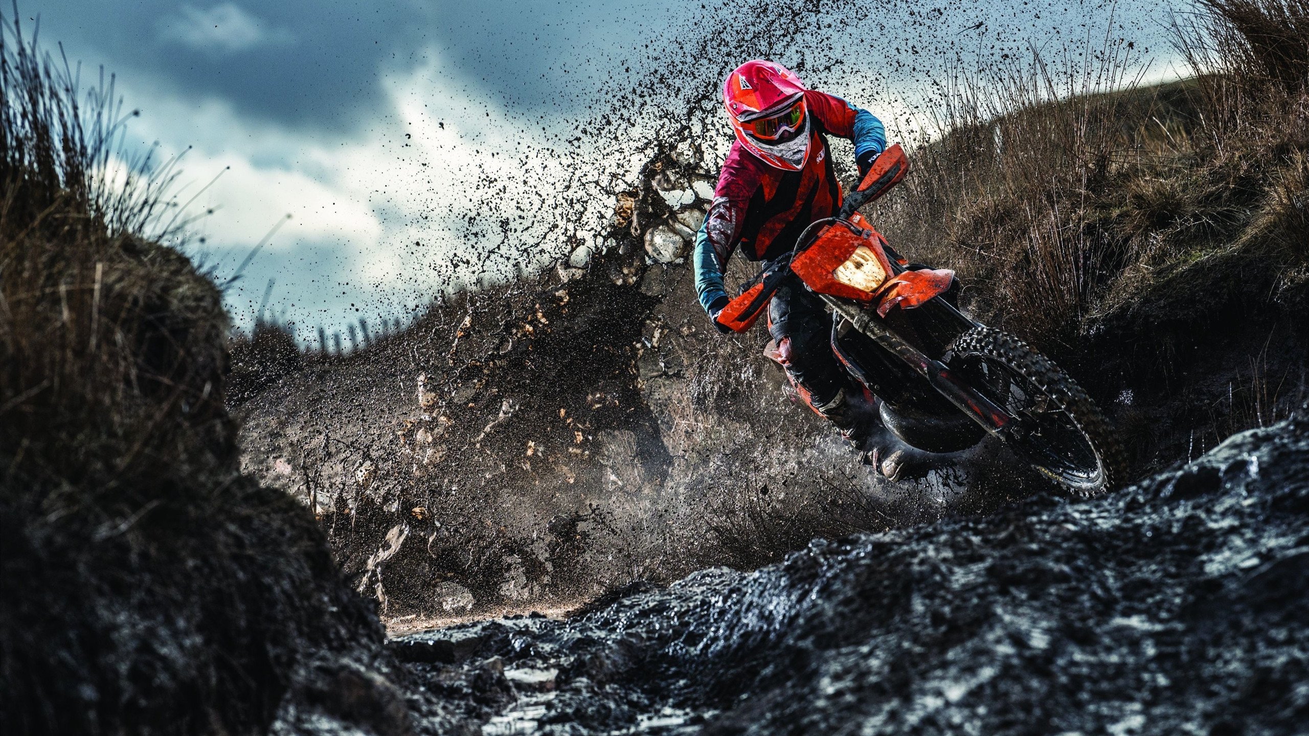 NBA球员赛场适应能力训练，nba球员训练力量方法